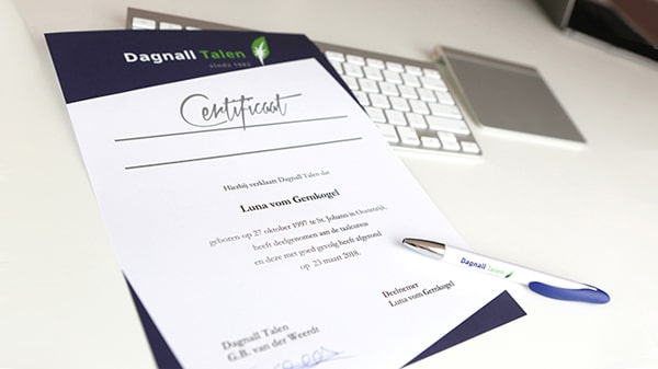 Voorbeeld van een Dagnall Talen-certificaat Ingevuld Dagnall Talen certificaat - Dagnall pen - Apple Magic Keyboard - Apple Magic Trackpad op witte tafel - in kleur - 600 * 337 pixels